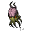 Brain Squid
