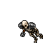 Crypt Warrior